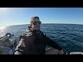 Fast Way to CATCH West Australians Favourite Fish ( Huge Channel News )