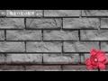 現象の花の秘密 (Full Ver.) by 平沢 進