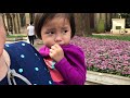 Our China Adoption Love Story- Bringing home Nina Rose