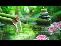 Relaxing Zen Music - Meditation Music, Peaceful Music, Bamboo,Relaxing Music,Nature Sounds, Spa, BGM
