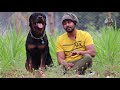 How to Stop Puppy Biting in Tamil | Puppy Biting Aggressively | How to Stop Puppy Food Aggression
