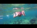 Discovering Hawaii's Underwater Beauty at Captain Cook Monument Snorkel Trip