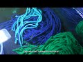 RED NEON BLUE EYE RAINBOWFISH BREEDING GUIDE ✅ | How to BREED Rainbowfish | Serendib Aquatics