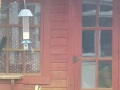 PestOff Squirrel proof bird feeder doesn't deter Starlings