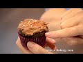 Chocolate Cupcakes Recipe Demonstration - Joyofbaking.com