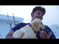 New Puppy - Golden Retriever | Irfan's view