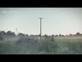 Foggy Field - Relaxing Feeling 🌿 [ Calming music / Relaxing music]