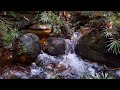 Noise of the river flow | sweetness of birds chirping | sound cures insomnia