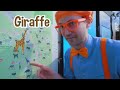 Blippi Meets Dinosaurs at the Santa Barbara Museum of Natural History | Educational Videos | ABC 123