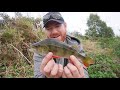 Big Perch Small River! These Hard Baits Got Crushed!