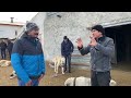 KANGAL BOZKIRIN SAHİPLERİ BELGESELİ (WARRIOR KANGAL DOCUMENTARY)