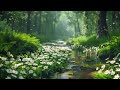 Forest Dream 🌲 Spring relaxation music [ Guitar ] & birdsong & noise of a stream in the forest 🌼