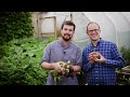 Self-Sufficient Garden: How he Grew 1,300lbs/580kg+ of Food (Huw Richards)