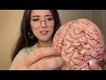ASMR these tingly triggers will ruin other asmr videos for you 👀