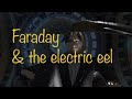 Faraday and the Electric Eel - preview - Why did he electrocute himself?