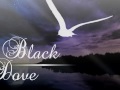 MB - [Black Dove]