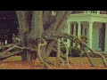 Soho - Hippychick (slowed + reverb)