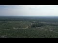 Black Sturgeon lake. Dji3