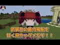 ワンピースのアドオンがすごすぎる！！【ゆっくり実況】【マインクラフト】