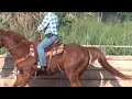 Horseback Riding in Haleiwa Hawaii Paniolo Ranch