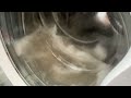 Beko WM7023w Washing Machine - Dirty as Heck!