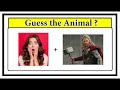 Guess the Animal quiz 4 | Brainteasers | Riddles with answers | Puzzle game | Timepass Colony