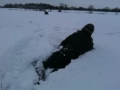 Daisy in the snow.MOV