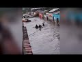6,000 houses went underwater! Dozens of cities are under threat! Hurricane Beryl