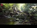 RELAX LISTENING TO BEAUTIFUL MUSIC WITH NATURE SOUNDS | STRESS RELIEF, INNER PEACE, POSITIVE ENERGY