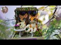 Leisure time ASMR DIY miniature dollhouse kit Corner of happiness