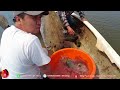 Đông Paulo || Lần Đầu Tiên Đánh Bắt Được Cá Khổng Lồ Ở Sông Châu Phi.