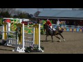 Kate Lewis and Vileva ll, 1.10m Open, Weston Lawns [4th]