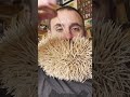 Most toothpicks in a beard - Guinness World Records