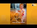 Golden Runs To His Baby Sister's Crib Every Morning | The Dodo