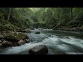 River Lullaby: Flowing Water Sounds for Relaxation & Sleep (30 Minutes)