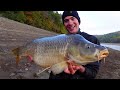 A spontaneous big carp mission! My search for redemption...