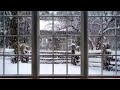 Cozy Winter Ambience | Winter Window Snow Scene Snow and Fireplace - ASMR