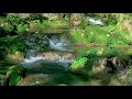 Healing Water Sounds | DEEP SLEEP | Incredibly Soothing Stream Sounds | RELAXATION | Nature Sounds