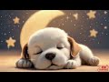 Sweet Puppies, Lullabies for Infants 🌙💤Relaxing Lullaby for Kids: Sweet Dreams, Peaceful Sleep