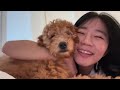Home Alone| I GOT A PUPPY, what I got for Christmas, exchanging gifts!