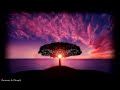 Relaxing Ambience Meditation Music ✧ Binaural Beats ✧ Meditation ✧ Stress Relief ✧ Yoga