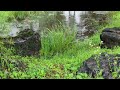 The clear and clean sound of rain falling on a blue pond ASMR
