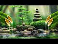 Relaxing Zen Music with Water Sounds 🌿 Relaxing Music for Meditation and Mindfulness