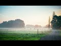 Morning Meditation & Relaxing Piano Music | Refresh Yourself