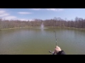 Elstonville Pond 4 sunfish in 4 casts 4/6/16