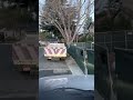 Trucking in residential neighborhood￼