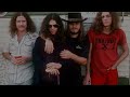 Allen Collins  *Free Birds and Firebirds* (documentary)