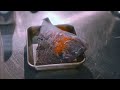 The Fastest Cutting Skill of Live Sea Bream by Amazing Japanese Chef!
