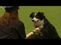 Freestyle Heelwork to Music Competition - Part 1 | Crufts 2018