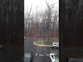 Snow fall 19 March 2016 in Maryland